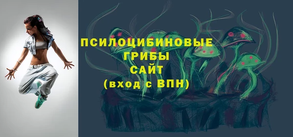 винт Абаза