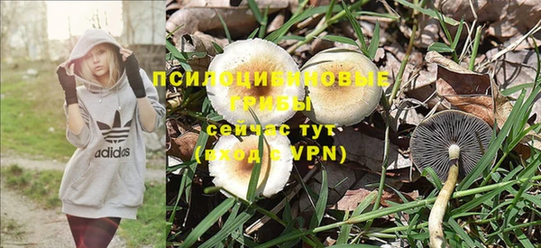 дживик Абинск