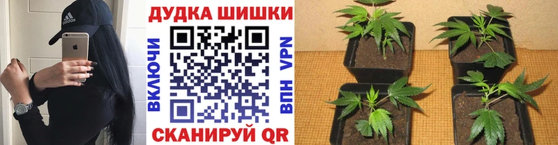 мега ТОР  Харабали  МАРИХУАНА OG Kush  наркота 